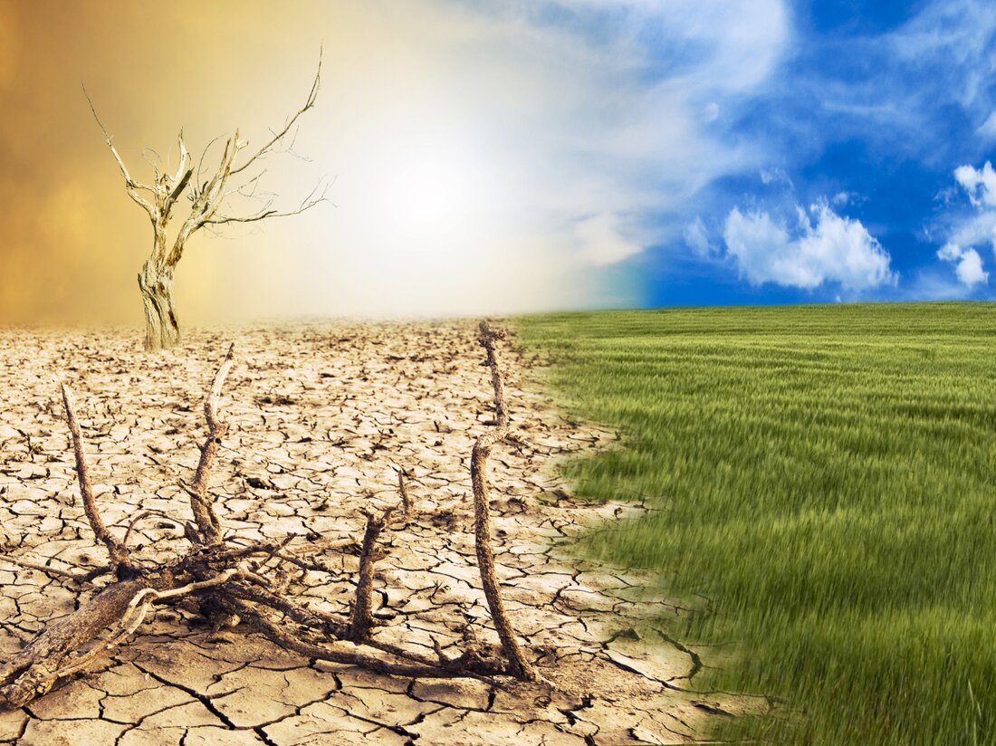 Die Klimaerwärmung erreicht neue Rekorde. COP30 in Brasilien untersucht Emissionen und deren globale Auswirkungen auf 1,5 °C.