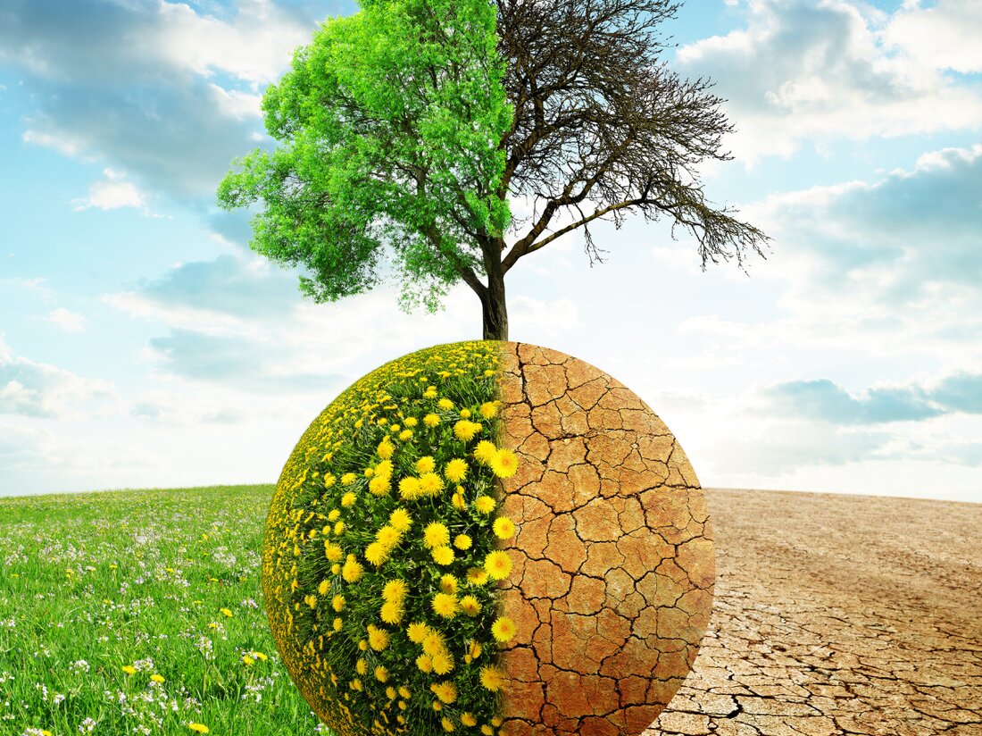 Bundesminister Murray Watt stellt am 5.11.2025 den Environment Protection Reform Bill vor, um Umweltschutz und Transparenz zu stärken.