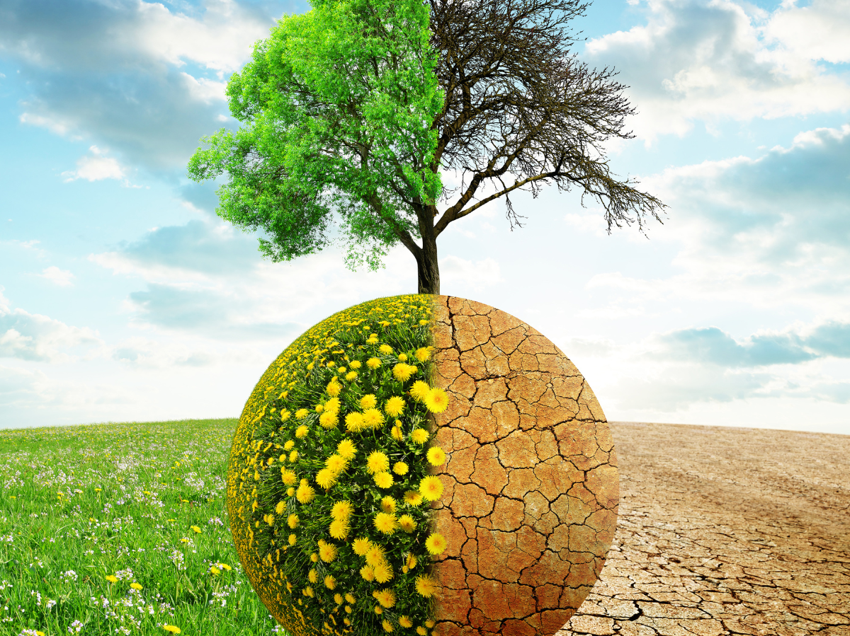 Ausbildung 2026 zum:zur Land- und Baumaschinenmechatroniker:in (m/w/d)