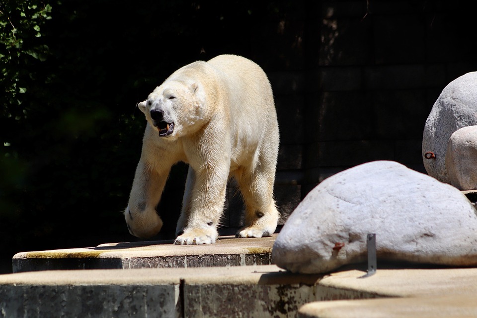 Der Einfluss von Fast Food auf das Klima