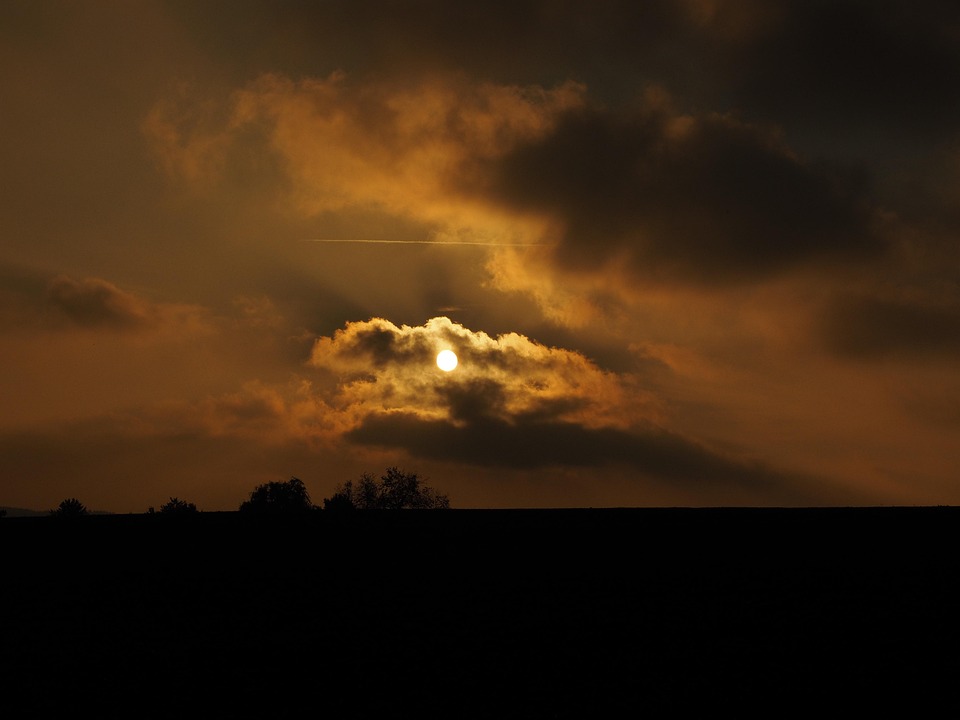 Der Einfluss von Kaffee und Kakao auf das Klima
