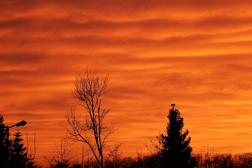 Der Klimafußabdruck von Weihnachtsgebäck
