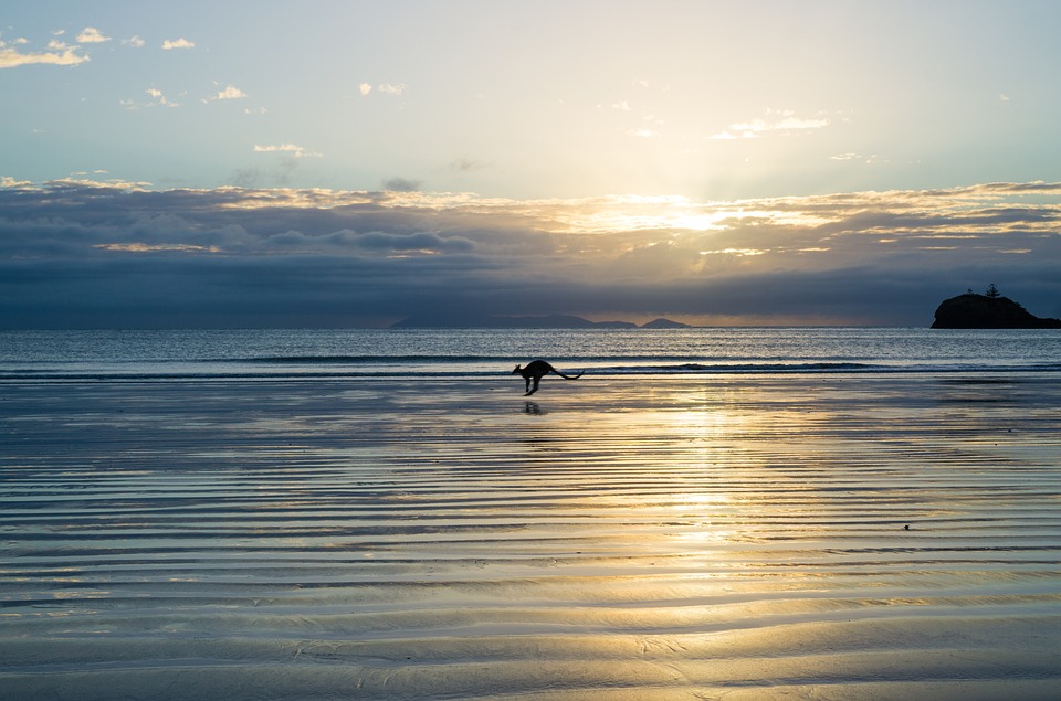 Die Macht der Verbraucher: Wie du mit Kaufentscheidungen das Klima veränderst