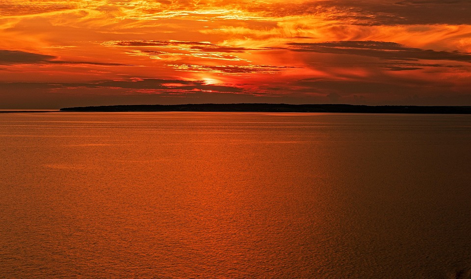 Die Rolle der Wälder: Warum der Amazonas nicht sterben darf