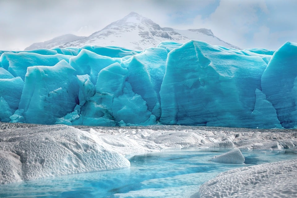 Die Rolle von Pilzen beim Bodenaufbau
