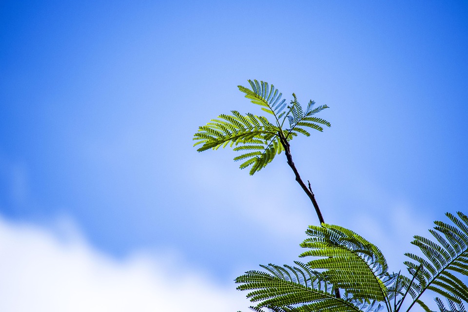 Die vergessene Rolle der Ozeane im Klimasystem