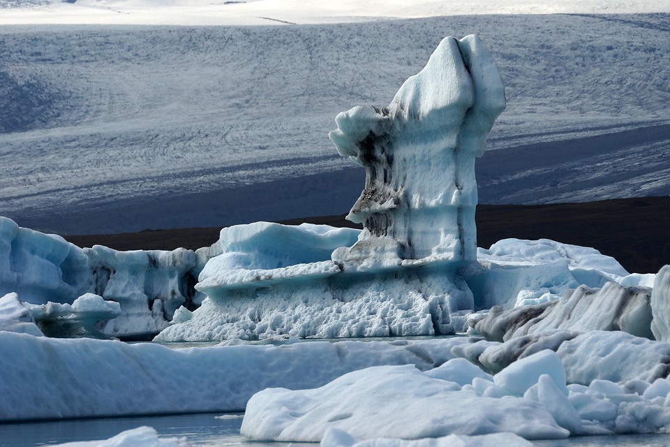 Klimaneutrale Unternehmen: Wie Firmen CO2-frei werden