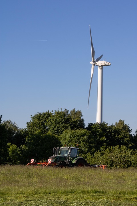Klimaschutz durch Buch- und Bibliotheksinitiativen