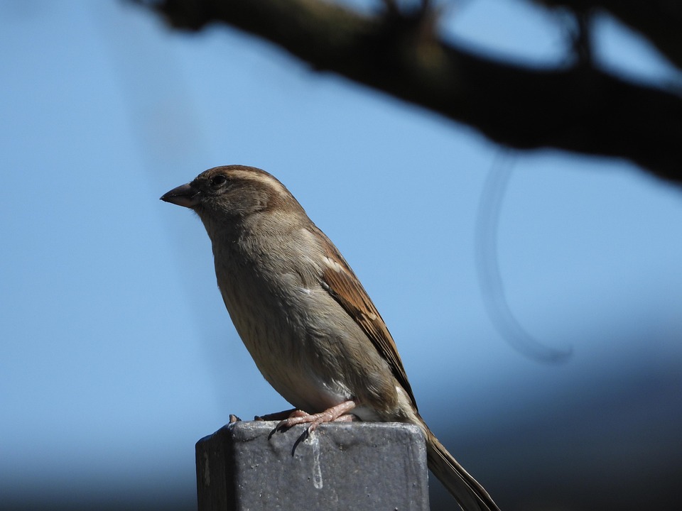 Klimaschutz durch Firmen-Patenschaften für Wälder