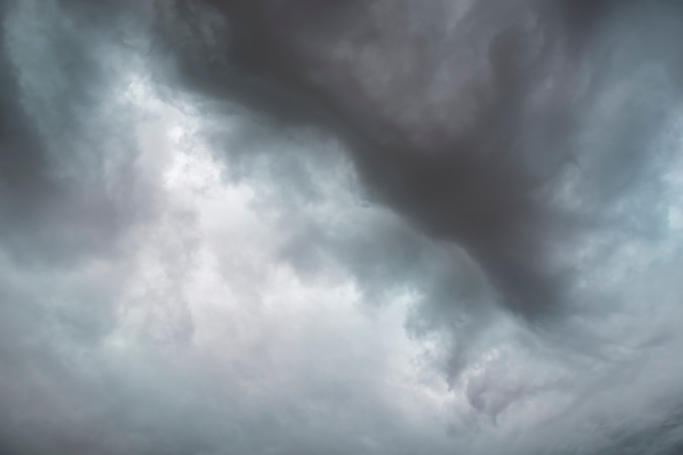 Klimawandel und Avocado: Der Durst der Superfrucht