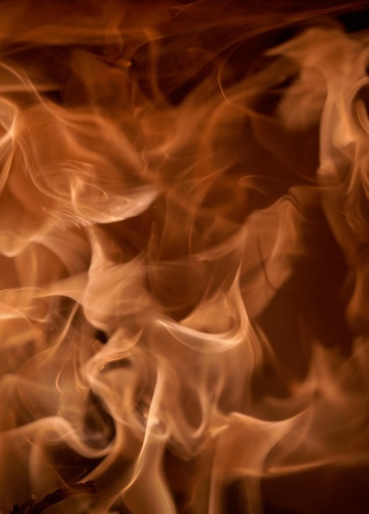 Klimawandel und Bienen: Warum die Imkerei leidet