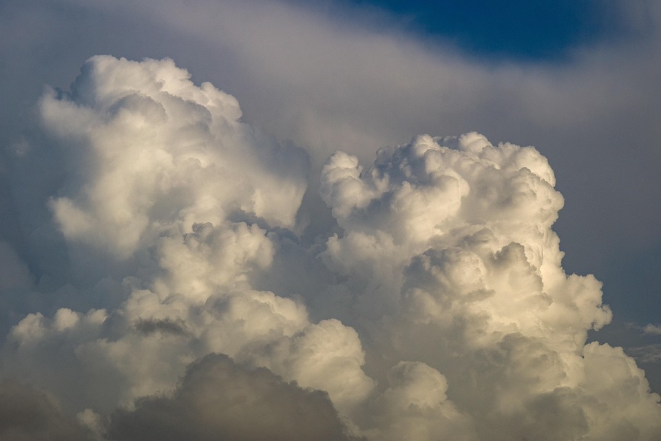 Klimawandel und Bierbrauerei: Hopfen und Hitze