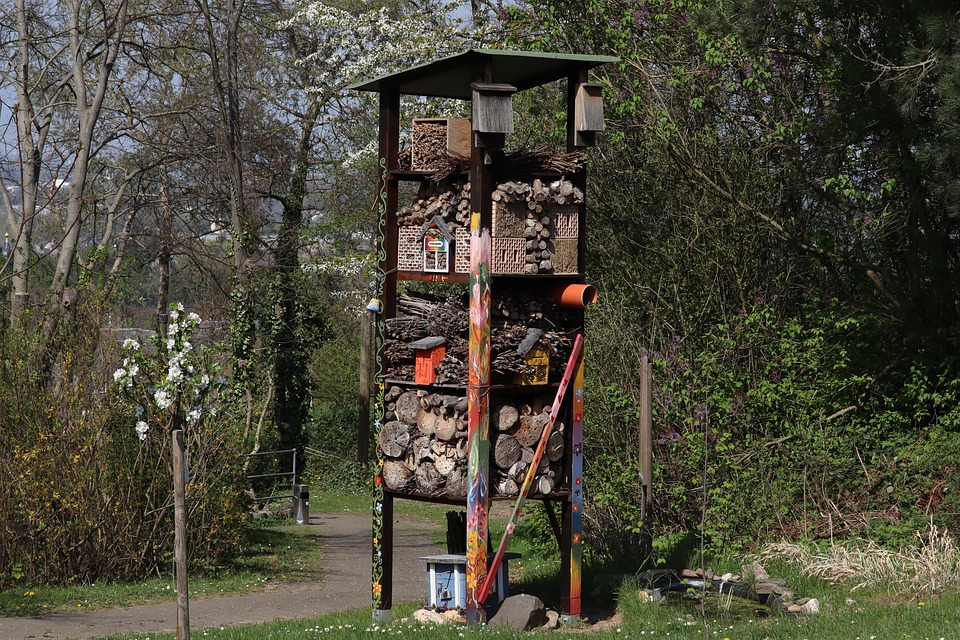 Klimawandel und Honigbienen: Imker im Kampf