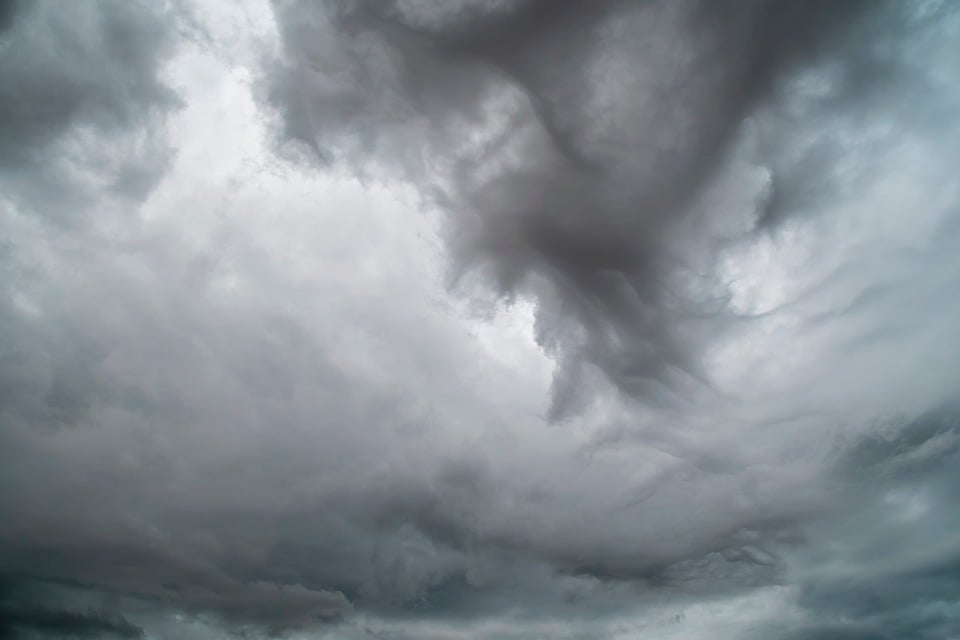 Klimawandel und Kräutertee: Pflanzen im Wandel