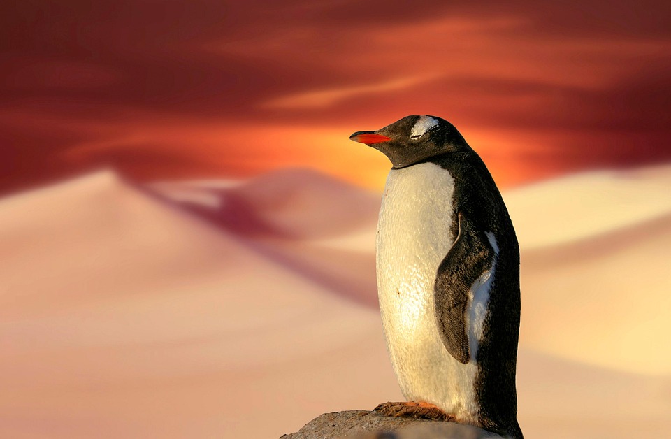 Klimawandel und Landwirtschaft: Bedrohung für unsere Ernährungssicherheit