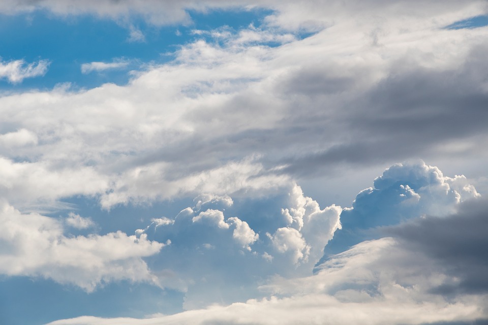 Klimawandel und Lavendel: Duftpflanzen unter Stress