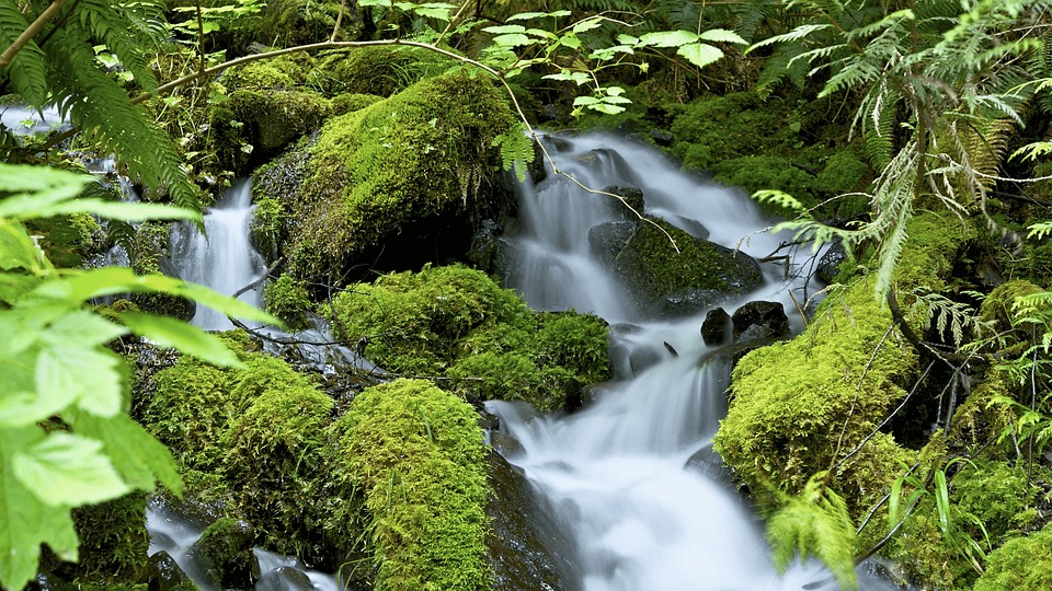 Klimawandel und Zitrusfrüchte: Neue Anbaugrenzen