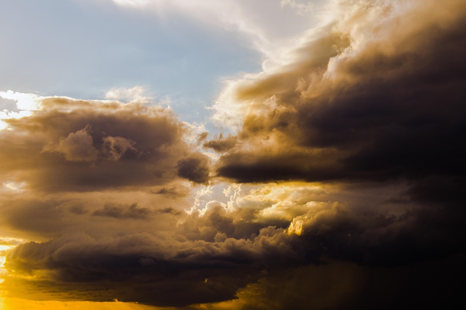 Moos und Flechten als Klimaindikatoren