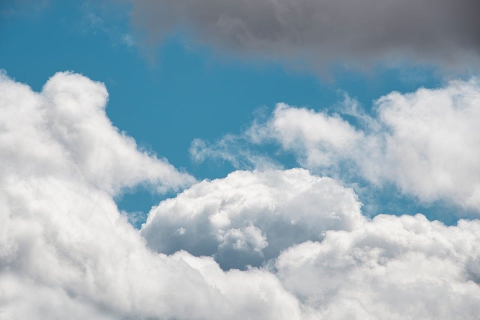 Nachhaltige Halloween-Ideen: Kürbis und Deko grün