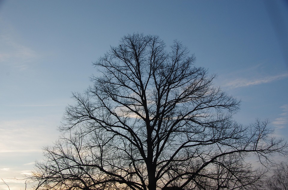 Nachhaltige Silvesterfeuerwerke: Alternativen ohne Smog