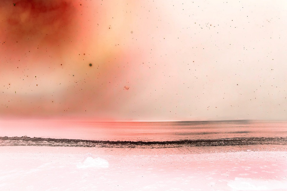 Nachhaltige Verpackungen: Plastikfrei einkaufen leicht gemacht