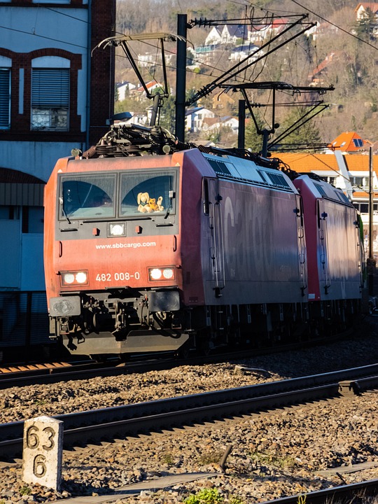 Nachhaltige Weihnachtsbäume: Plastik oder echt – der Vergleich