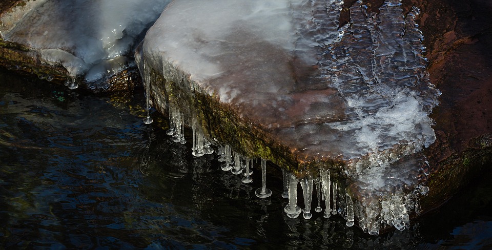 Permakultur-Gärten: Selbstversorgung und CO2-Speicherung