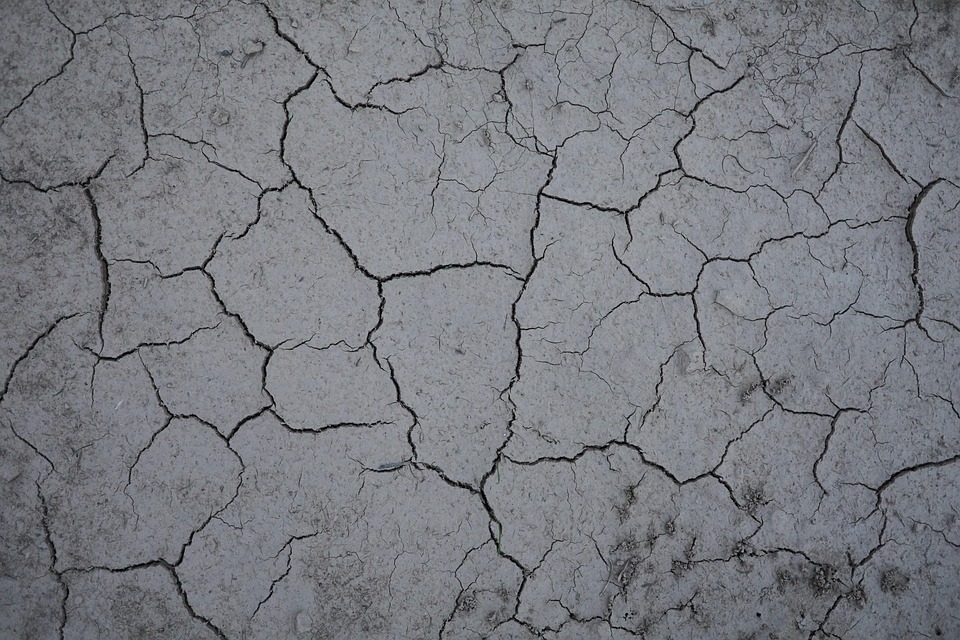 Renaturierte Städte: Beispiele aus Europa