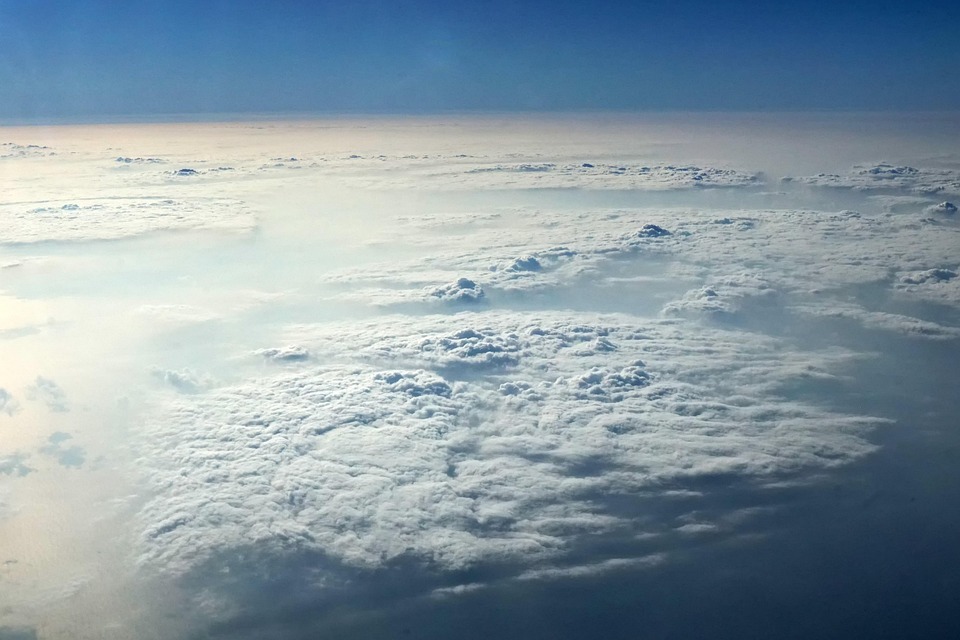 Urban Gardening: Dein eigener Gemüsegarten in der Stadt