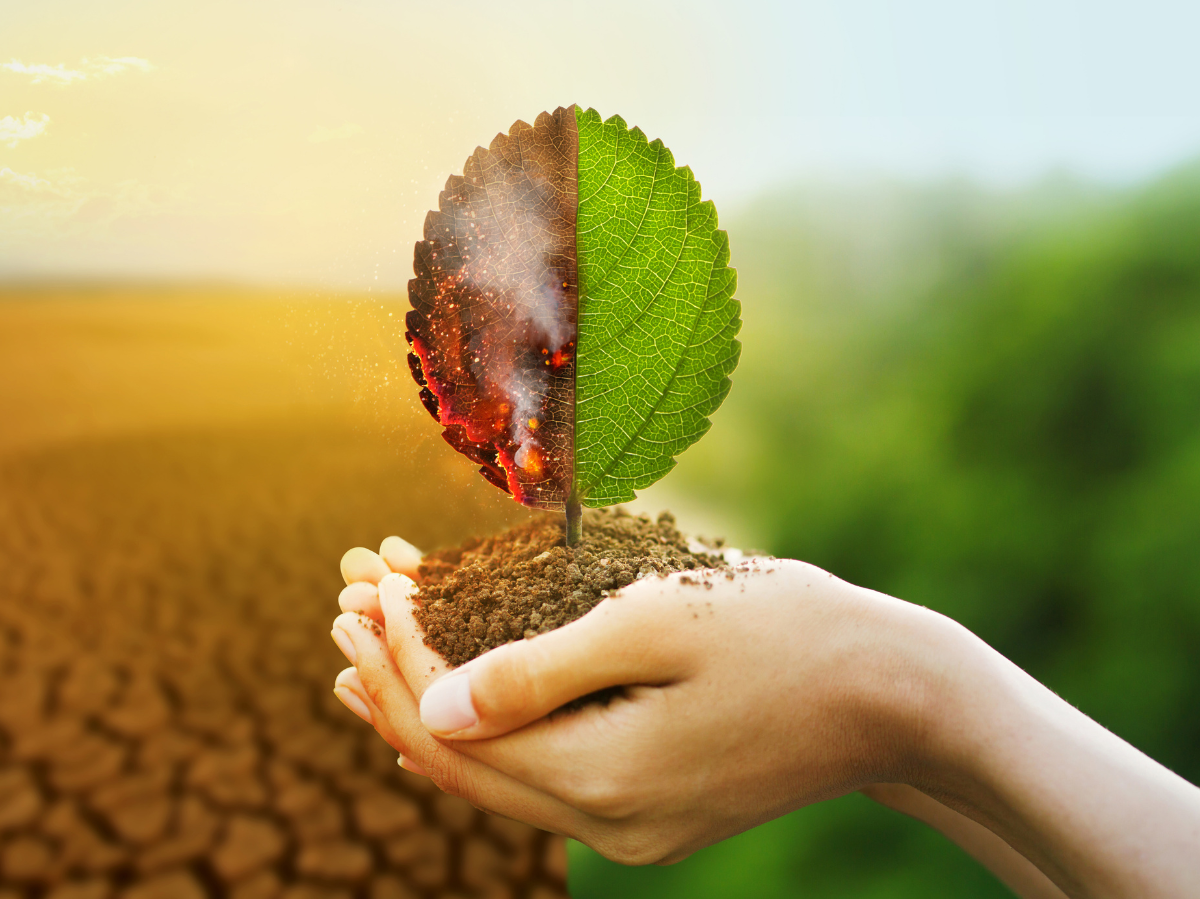 Klimaforschung jubelt: 100 Ausgaben „Klimafolgen und Anpassung“ feiern Erfolg!