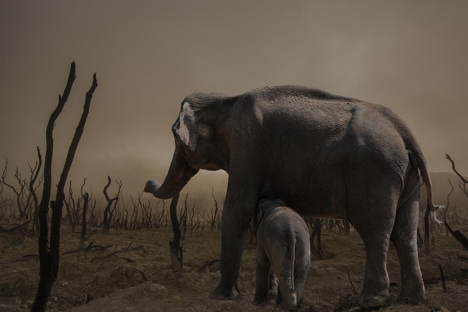 Die Zukunft der Klimakommunikation 2026