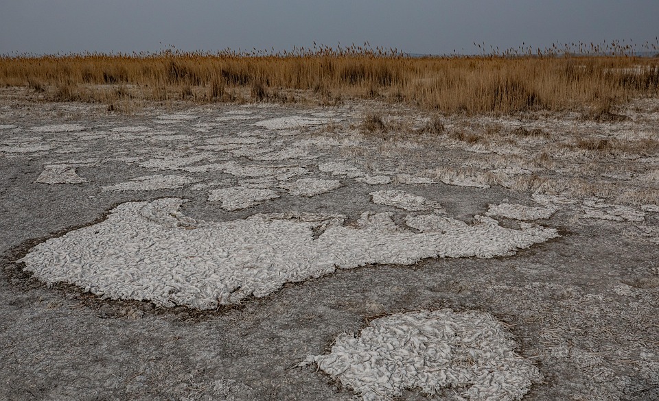 Die besten Klimakonferenzen 2026