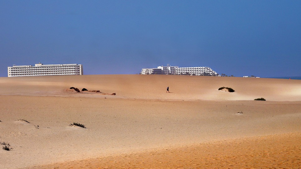 Die besten Klimawissenschaftler 2026: Wer sie sind