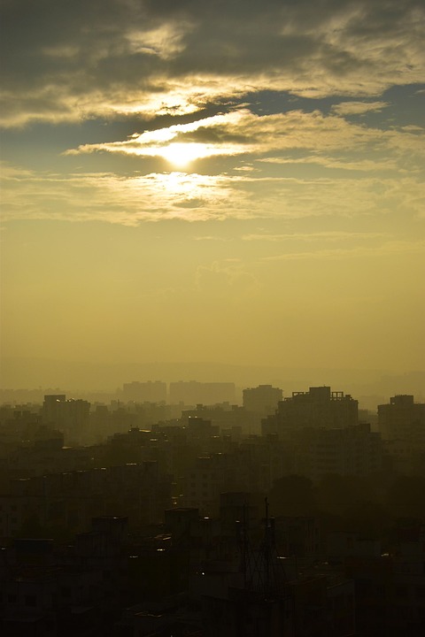 Grüne Drohnen für Waldschutz