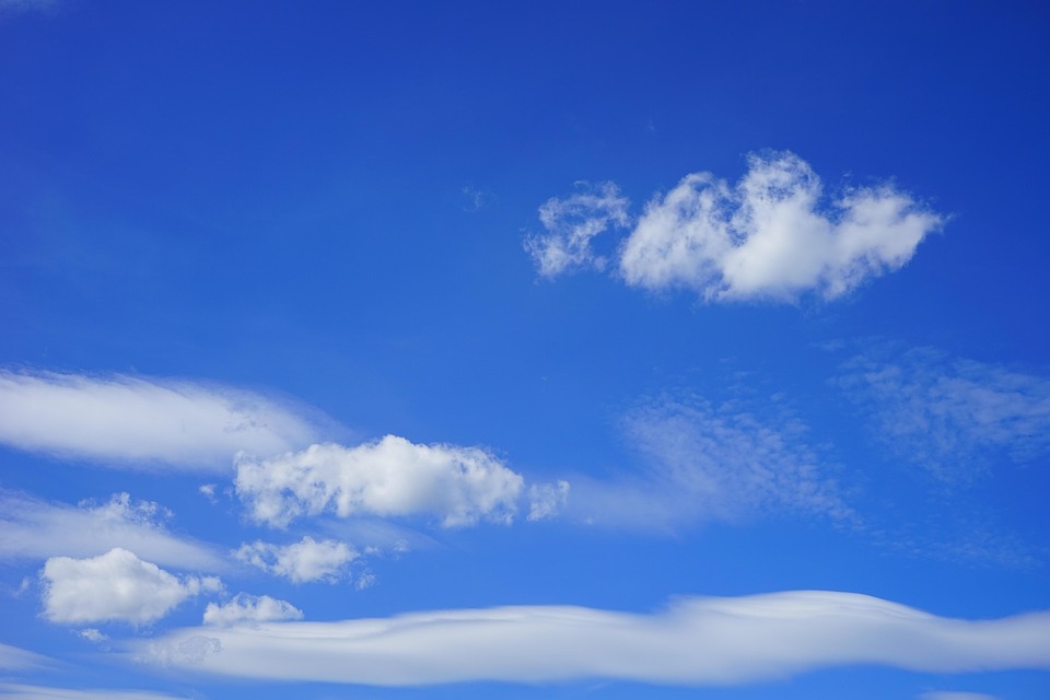 Klimaschutz durch Schul-Garten-Projekte