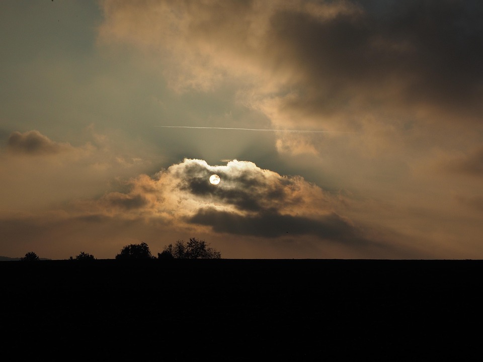 Klimawandel und Johannisbeeren: Beeren im Klimawandel