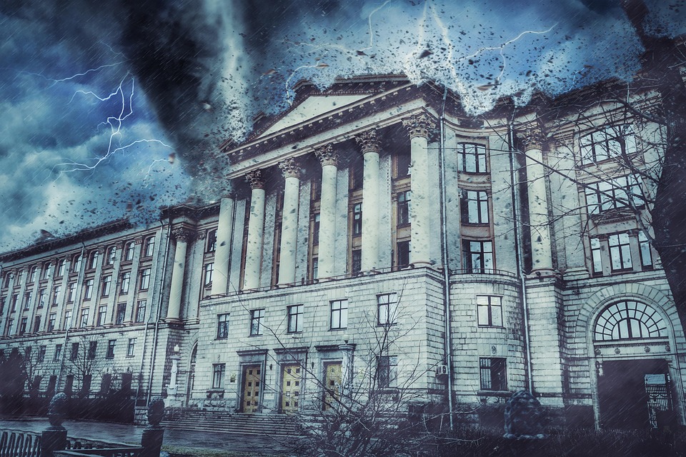 Klimawandel und Liebstöckel: Kräuter im Wandel