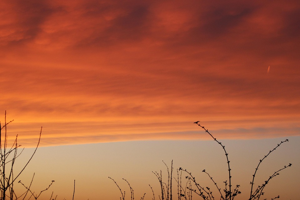 Klimawandel und Majoran: Kräuter unter Druck