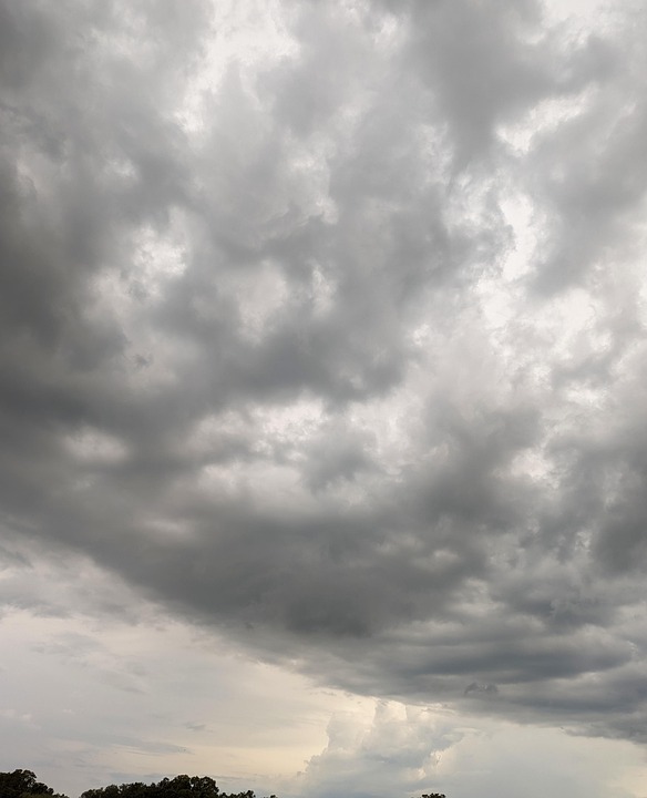 Klimawandel und Schnittlauch: Kräuter im Topf