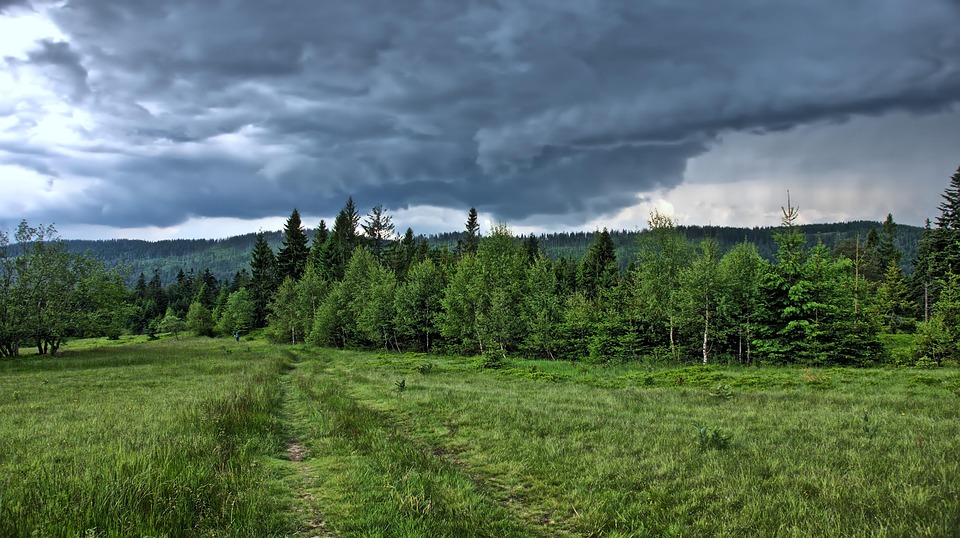 Mikroplastik in Zahnpasta: Alternativen gefunden
