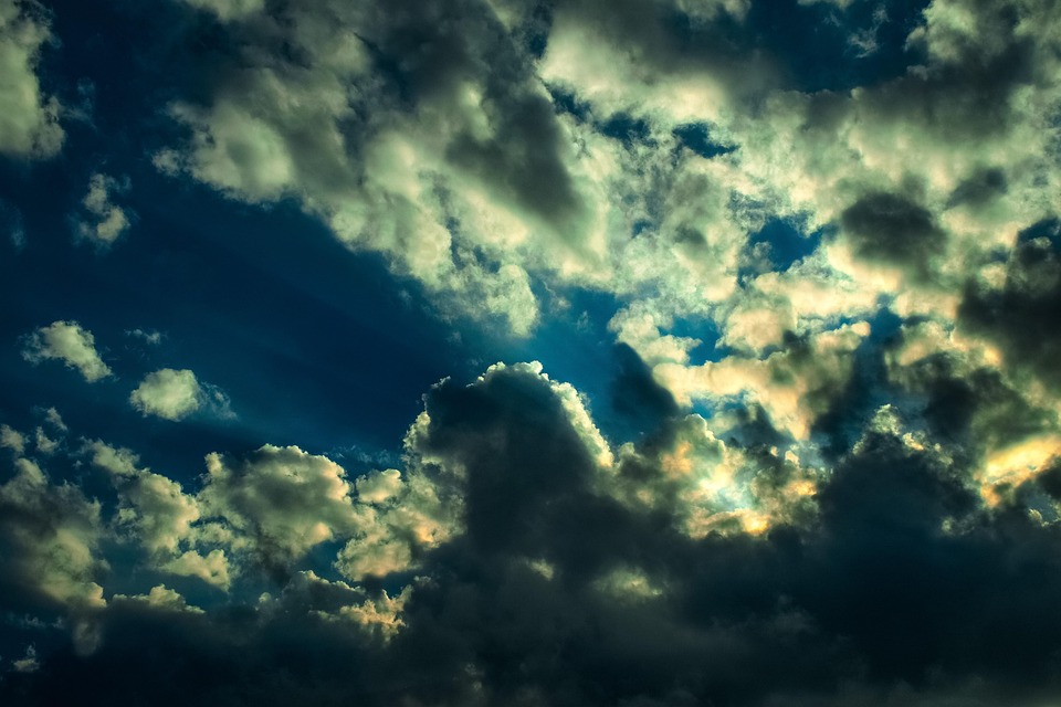 Nachhaltige Muttertagsgeschenke: Blumen fair